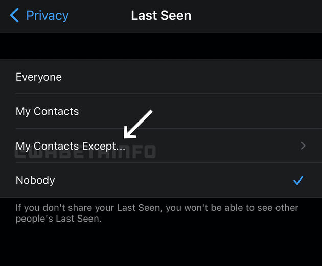 WhatsApp-LaatstGezien