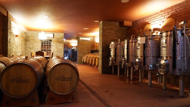 Winemaker_Experirience_Wijnmakers