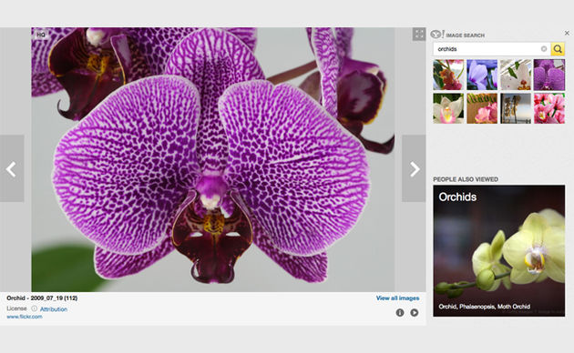 Yahoo toont nu ook foto's Flickr bij zoeken naar afbeeldingen