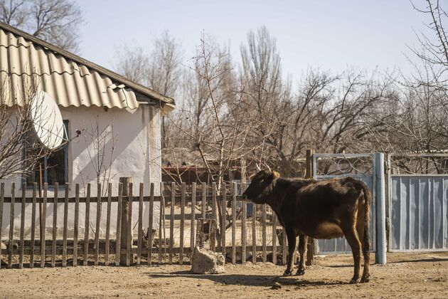 Zharkent_Kazachstan_stad