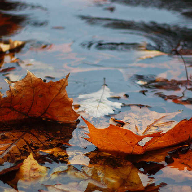 Regen? Met deze 10 documentaires vermaak jij je binnen