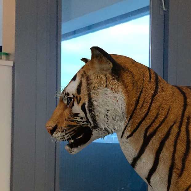 Heb jij de 3D-dieren van Google al in huis gespot?