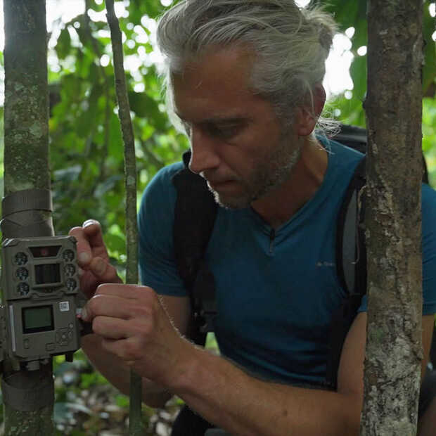 Een realtime AI-wildcamera​ voor het beschermen van olifanten