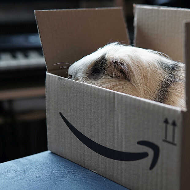 Amazon Prime Day: komt het er weer aan?