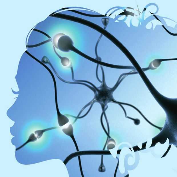 Neuro-onderzoek opent deuren voor marketing- en communicatieprofessional