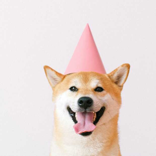 Deze 7 dieren hebben de meeste volgers op Instagram