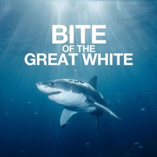Bite of the Great White! (Shark Week remix)