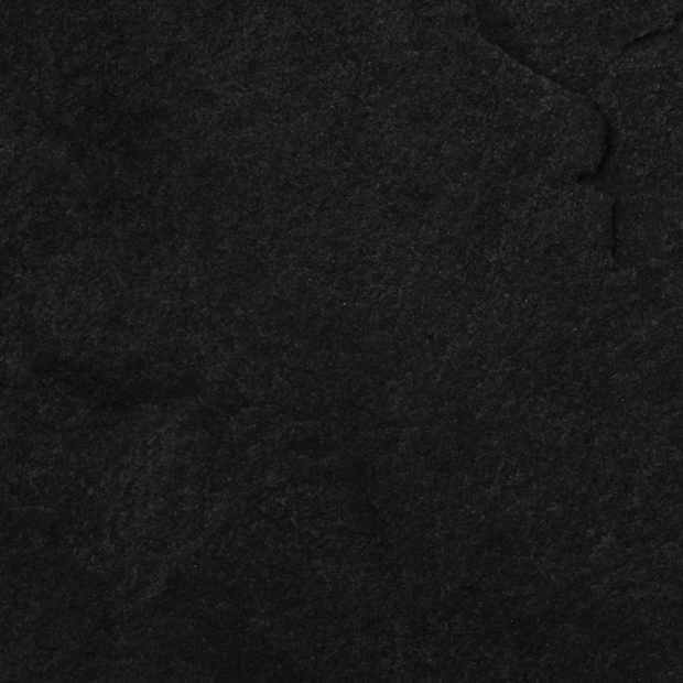 Black Out Tuesday: de muziekindustrie gaat vandaag op zwart