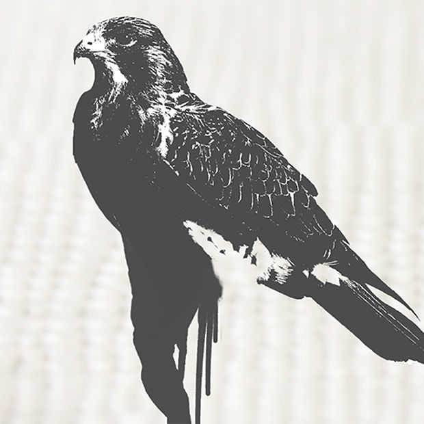 The Black Hawk: Een escape game via Whatsapp