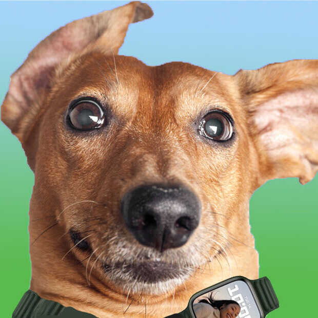 Gekste gadgets van CES: honden-smartwatch en zwart-wit autolak