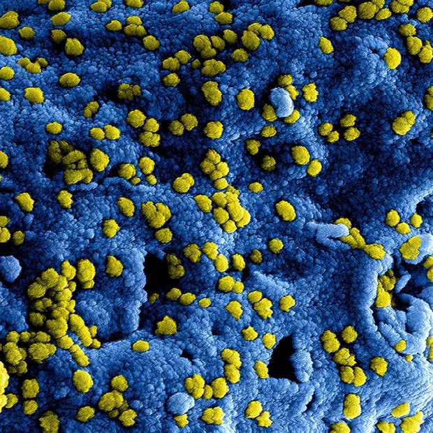 De aanpak van nepnieuws over het coronavirus door de grootste techbedrijven ter wereld