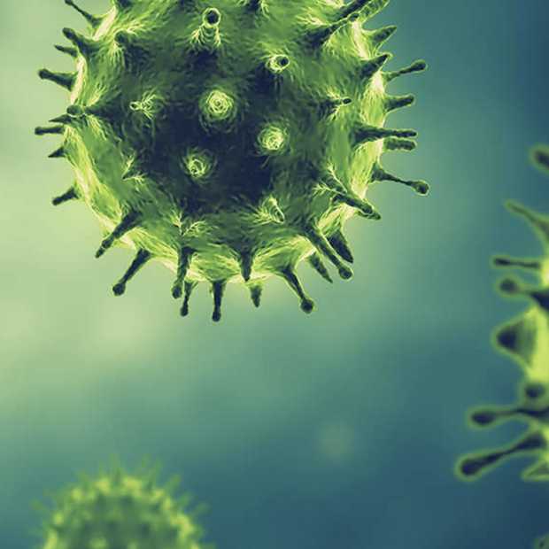 Hier zoeken Nederlanders op in relatie tot het coronavirus