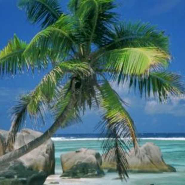 De beste vakantie via Internet