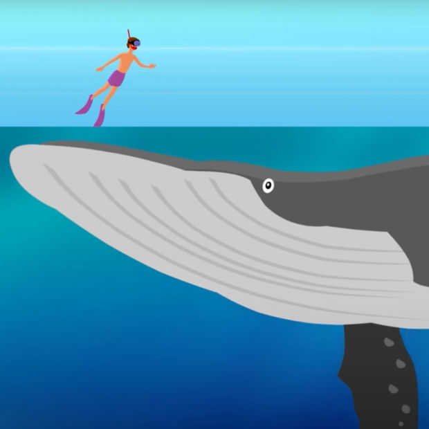 Weet je wel hoe diep onze oceanen eigenlijk zijn? Weet je wel hoe diep onze oceanen eigenlijk zijn?