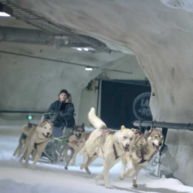 Land Rover doet weer eens van zich spreken, Discovery Sport vs een team Husky's