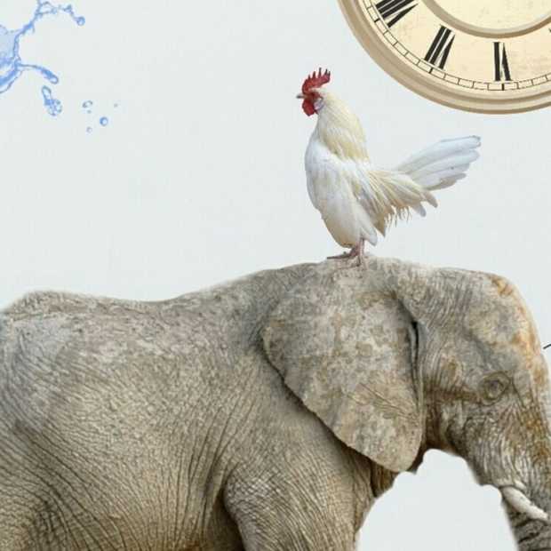 Het Don’t think of an elephant momentje van Thierry Baudet