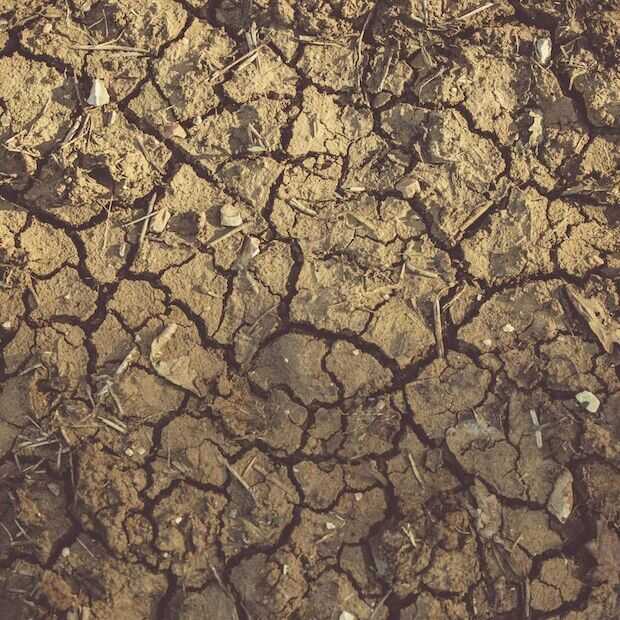 Ook na zoveel regen is 2023 tot nu toe nog altijd te droog
