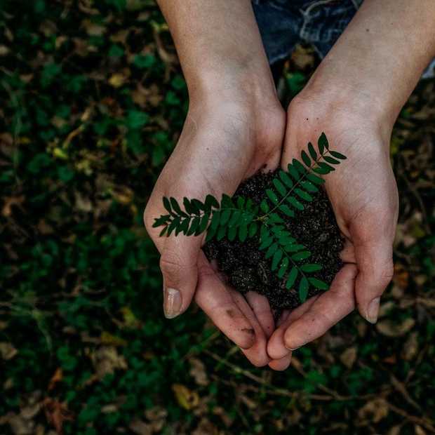 Het is weer Earth Day vandaag! Het thema van dit jaar is 'climate action'