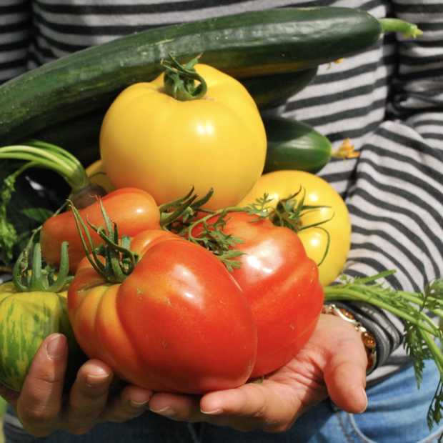 GoodFoodClub maakt alle duurzame lokale boeren vindbaar