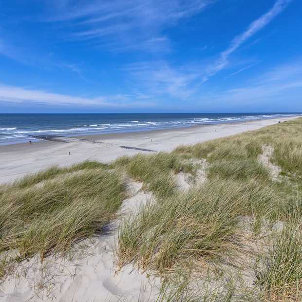 19 Nederlandse natuurgebieden toegevoegd aan Google Street View