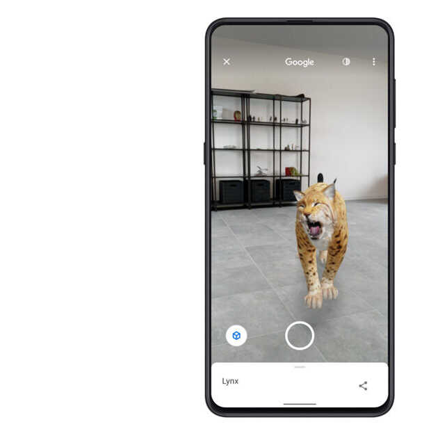 Nieuwe augmented reality-dieren beschikbaar op Google