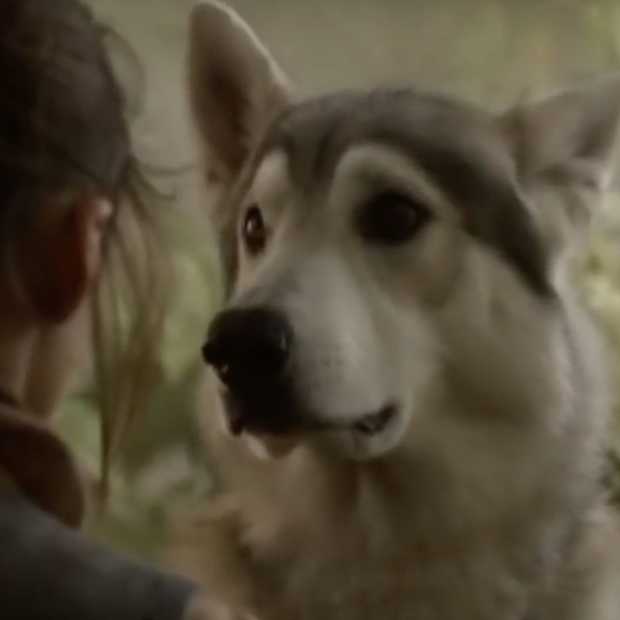 Game of Thrones fans opgelet: dit is wat we nu weten over de prequel-serie