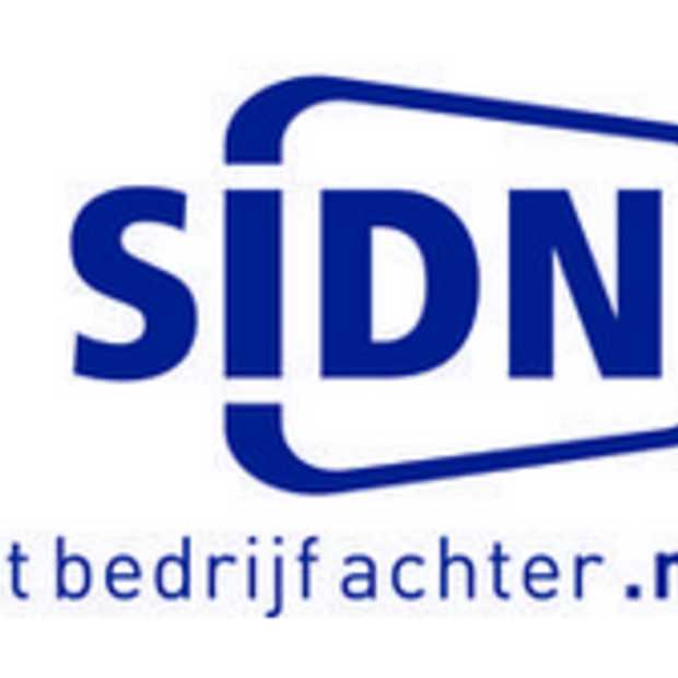 Groei van aantal .nl-domeinnamen nam in 2012 sterk af