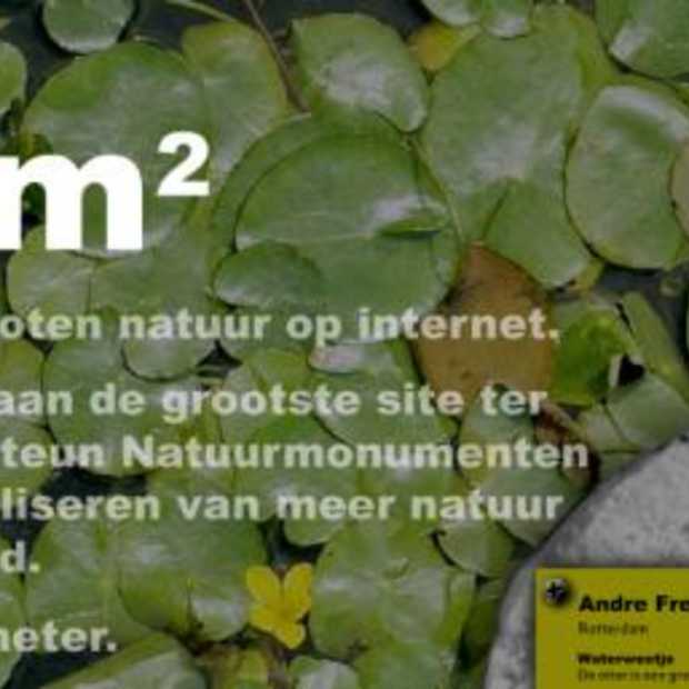 Grootste Website ter Wereld