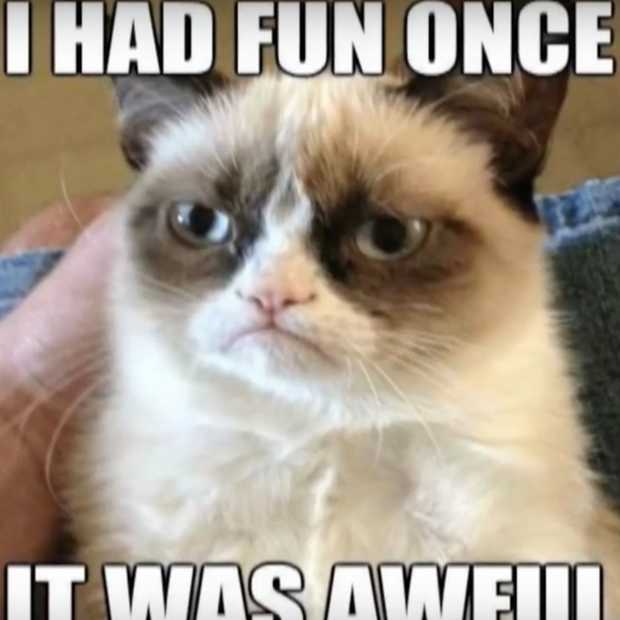 De bekendste kat ter wereld, Grumpy cat, is overleden