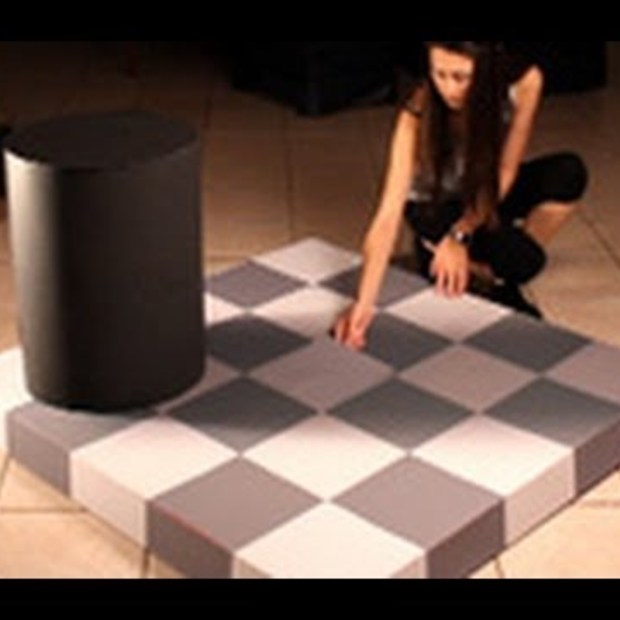 Wow : Incredible checkerboard shade illusion !