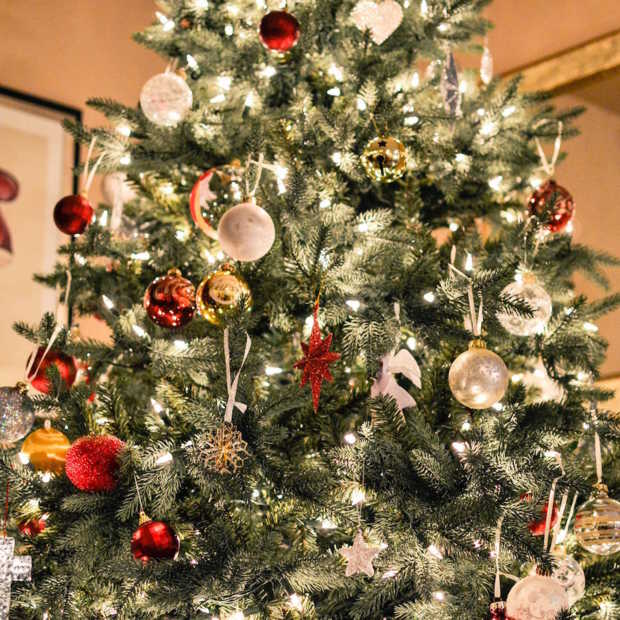 Kersttrend Alternatieve Kerstboom Stek Woon Lifestyle Magazine