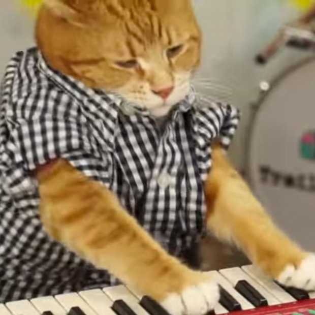 Going viral: Keyboard Cat is back!