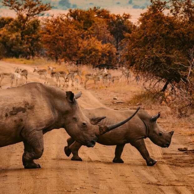 ​Waarom luchtvervuiling in Afrika ook een probleem is voor ons