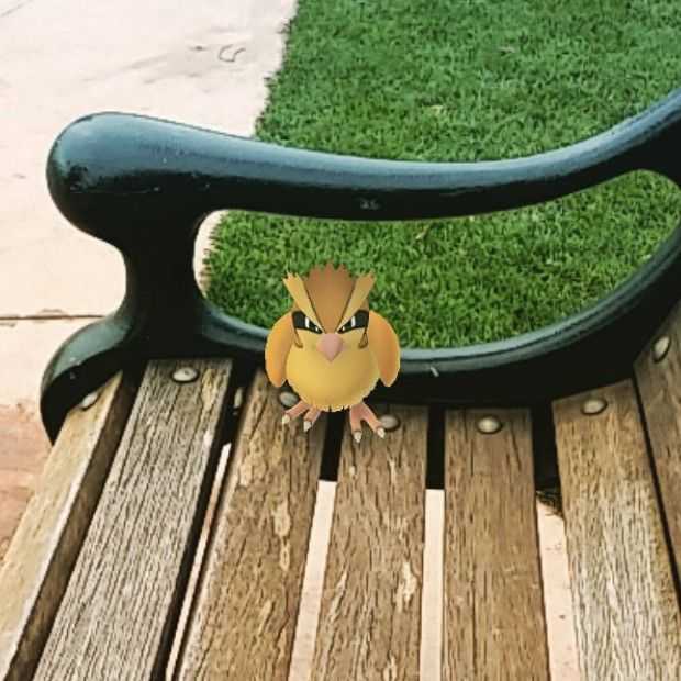 Man neemt ontslag en gaat op zoek naar alle Pokémon