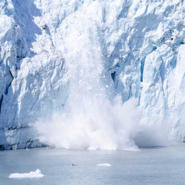 Foto van ijsbeer toont de realiteit van klimaatverandering