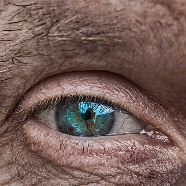 Slechts 7 procent van ons DNA maakt ons menselijk