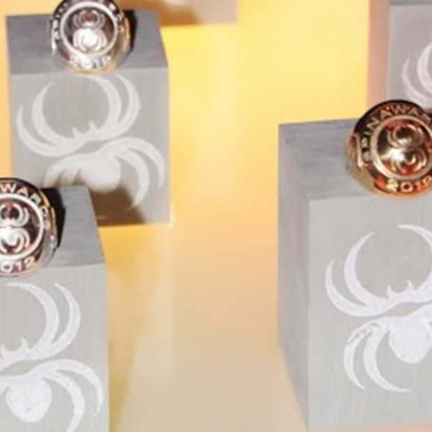 Nominaties SpinAwards 2014 bekend