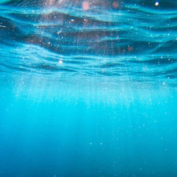 Kunnen bacteriën uit de oceaan de klimaatverandering stoppen?