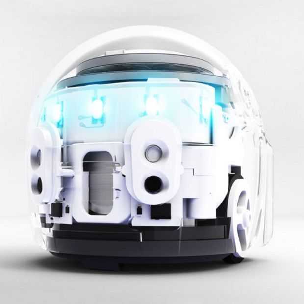 De Ozobot Evo is een kleine sociale robot
