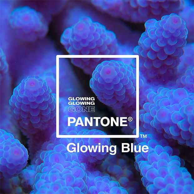 Adobe en Pantone brengen speciale kleurenrange uit