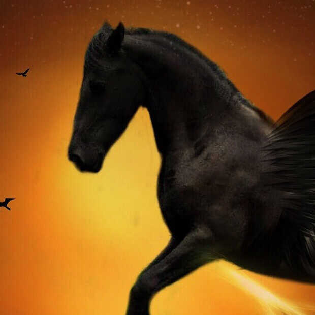 Dit is waarom Pegasus-spyware zo gevaarlijk is