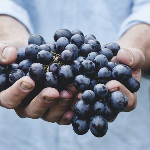 Drink vandaag een rood wijntje: het is Malbec World Day