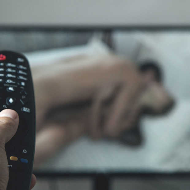 Porno op Provinciehuis!