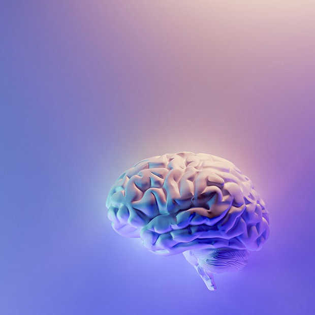 ​Neuralink loopt vast vooruit: hersenimplantaten straks in mensen