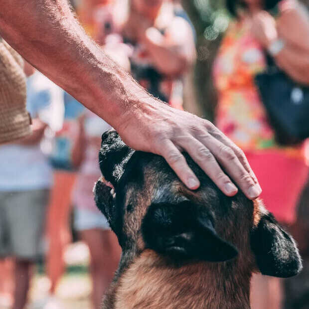 Politiehonden kunnen ook smartphones en simkaarten opsporen