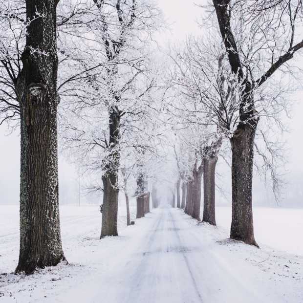 Het heeft gesneeuwd en dat is op social media ook te zien