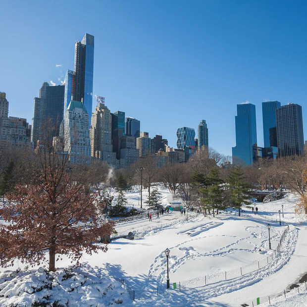 De mooiste en leukste foto's en video's van de #Blizzard2016