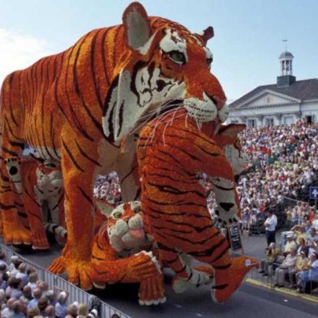 Sociale-mediahype bloemencorso Zundert bereikt climax