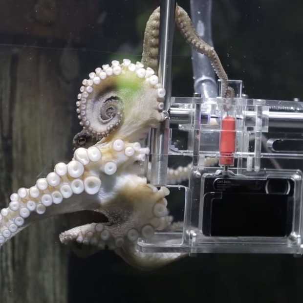 Sony’s 'Octographer' verandert een octopus in een fotograaf
