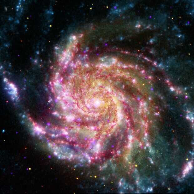 Amateur sterrenkijker spot supernova